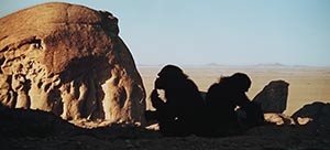 2001: A Space Odyssey