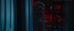 A Star Is Born 2018 