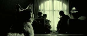 Amélie (2001)