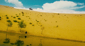 Ashes of Time