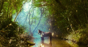 Ashes of Time. Hong-Kong (1994)