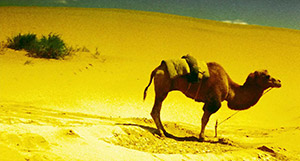 Ashes of Time. Hong-Kong (1994)