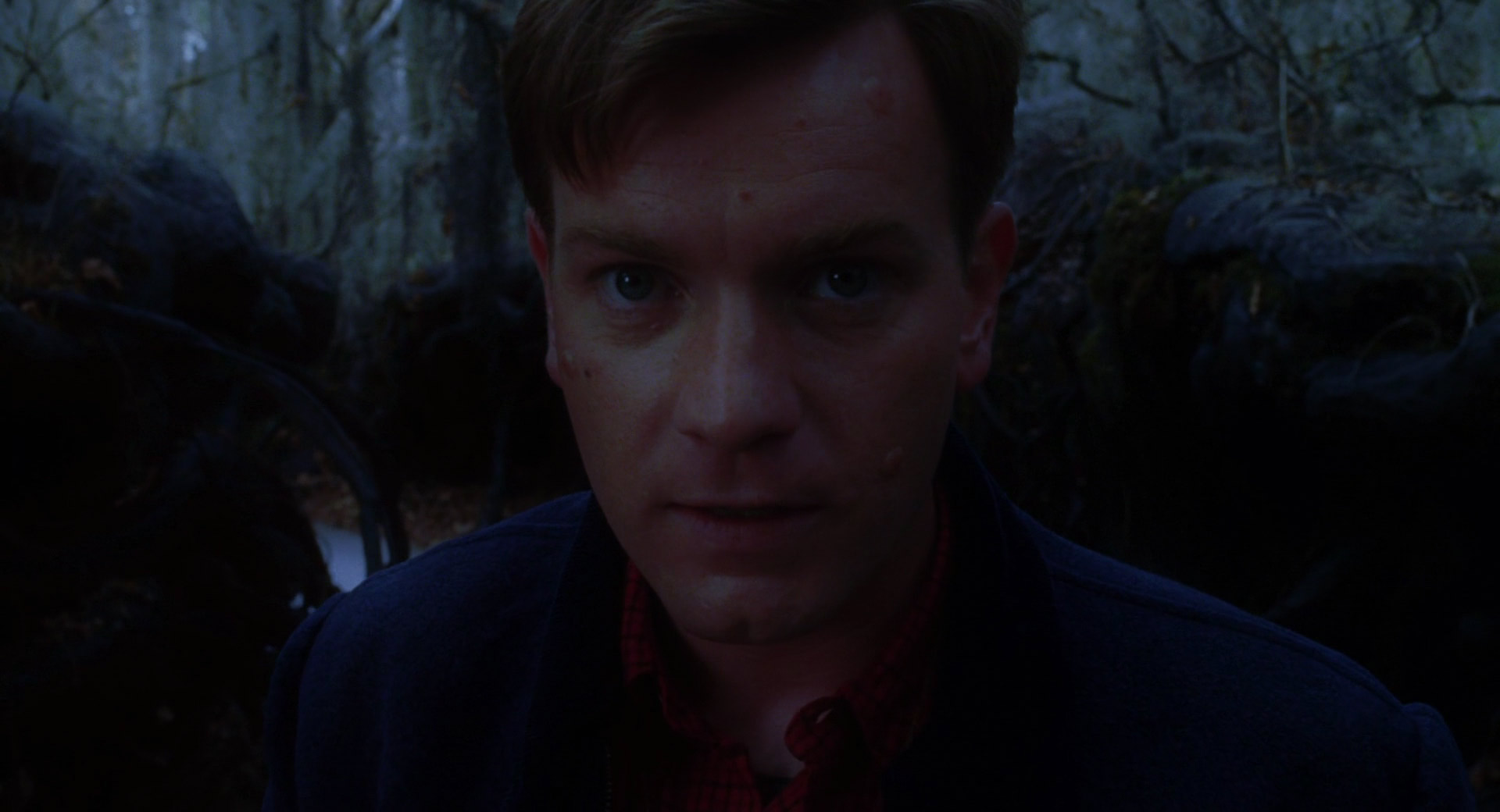 Big Fish (2003) Big Fish