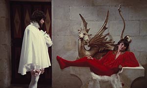Donkey Skin movie 1970