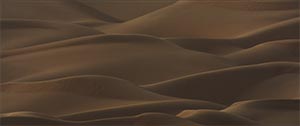 Dune