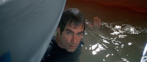 Licence to Kill