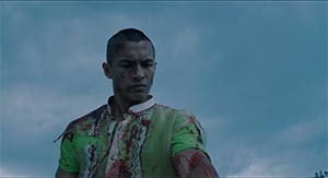 Ruined Heart. Cinematography by Christopher Doyle (2014)