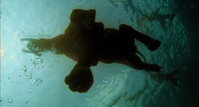 The Fall, Movie 2006