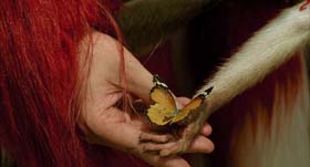 The Fall, Movie 2006