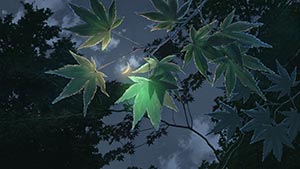The Garden of Words