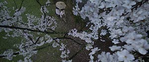 The Handmaiden