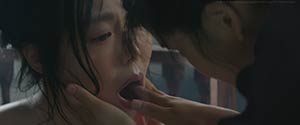 The Handmaiden