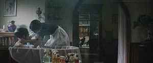 The Handmaiden