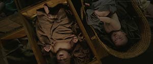The Handmaiden