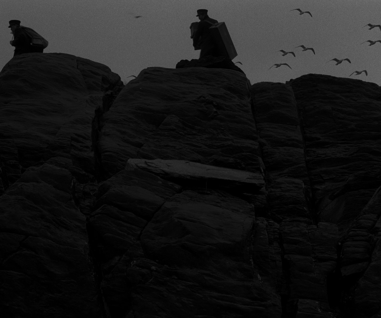 The Lighthouse (2019) seagulls in The Lighthouse