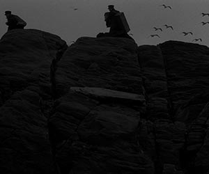 The Lighthouse