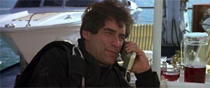 The Living Daylights