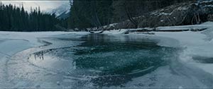 The Revenant. Hong-Kong (2015)