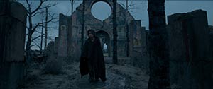 The Revenant. Hong-Kong (2015)