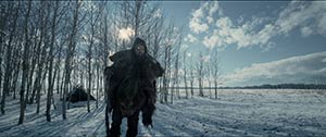 The Revenant. Hong-Kong (2015)