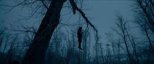 The Revenant. Hong-Kong (2015)