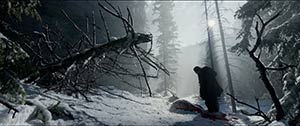 The Revenant. Hong-Kong (2015)