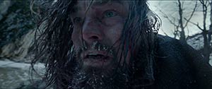 The Revenant. Hong-Kong (2015)