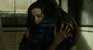 The Shape of Water