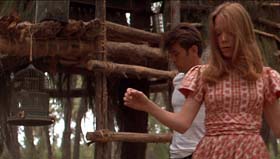 Badlands. Cinematography by Brian Probyn (1973)